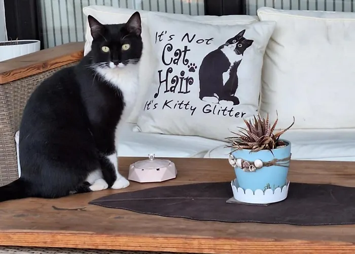 Apartmán The Pervoli - Pool - Close To *